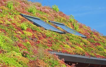 Hounsdown living roof systems