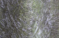 Hounsdown fibreglass roof work